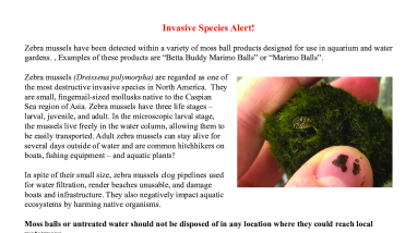 Zebra Mussel Disposal Instructions