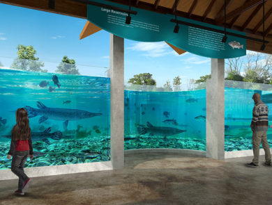 Renovation mock-up shows an example of the large, updated aquariums being built at the Texas Freshwater Fisheries Center.